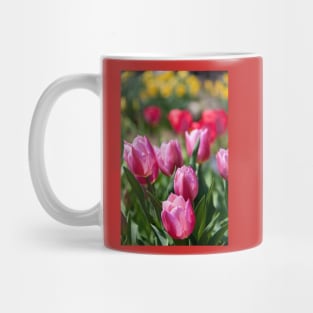 Tulips in my garden Mug